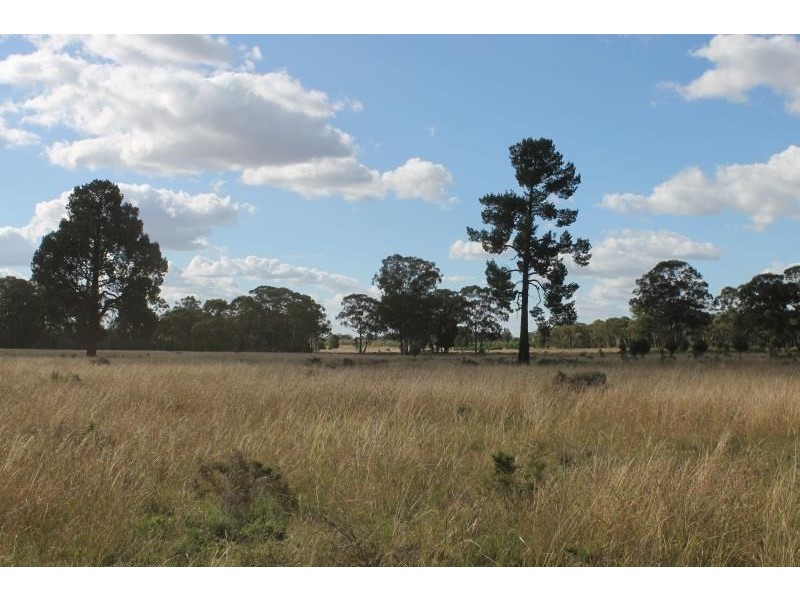 Springfield Melrose Road, Albert NSW 2873