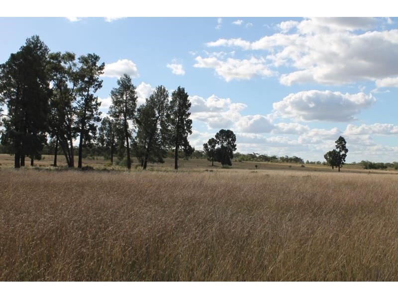 Springfield Melrose Road, Albert NSW 2873