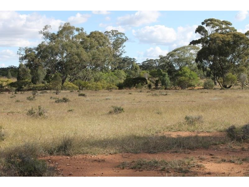 Springfield Melrose Road, Albert NSW 2873