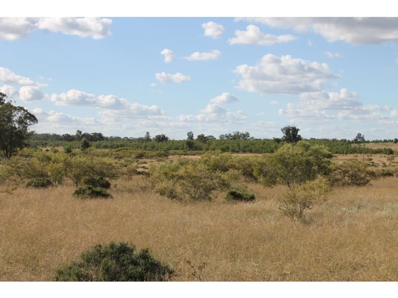 Springfield Melrose Road, Albert NSW 2873