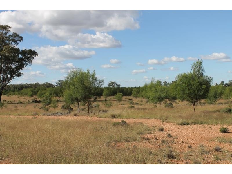 Springfield Melrose Road, Albert NSW 2873