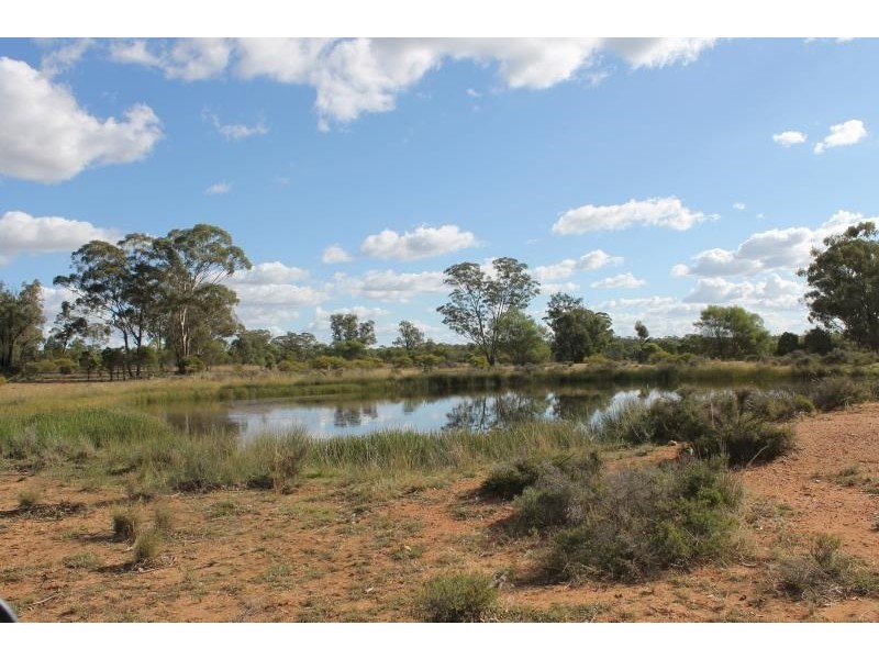 Springfield Melrose Road, Albert NSW 2873