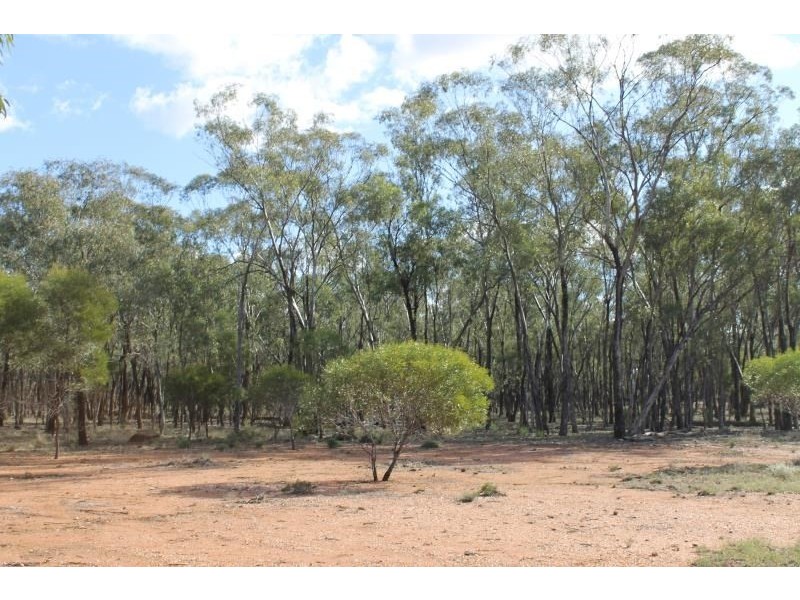 Springfield Melrose Road, Albert NSW 2873