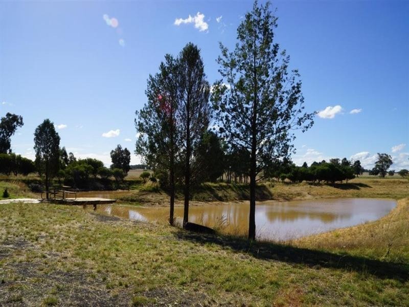 Brocklehurst NSW 2830