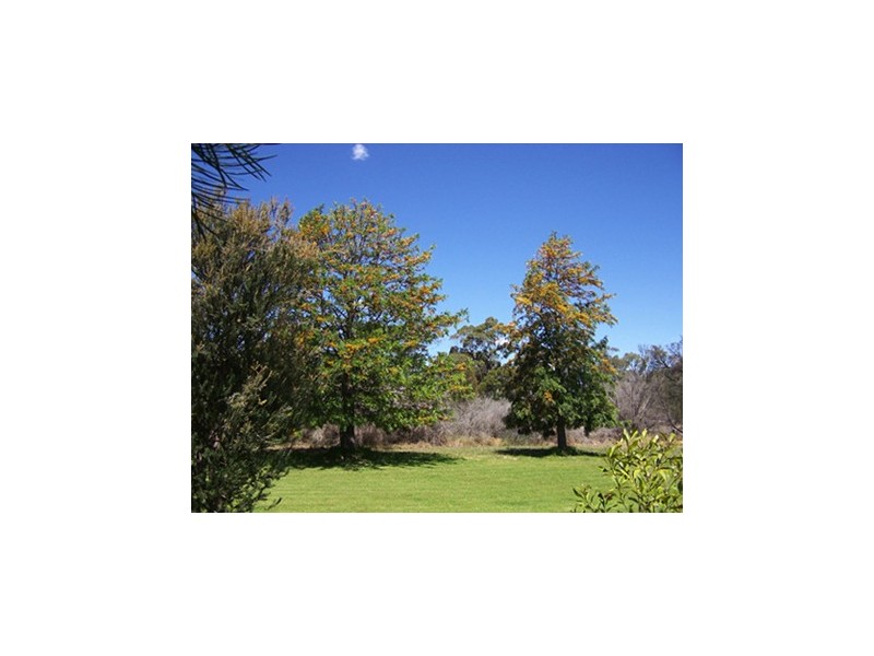 59L North Minore Road, Dubbo NSW 2830