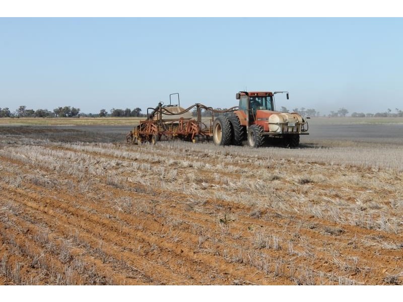 ‘Tereweenah’ Mitchell Highway, Trangie NSW 2823
