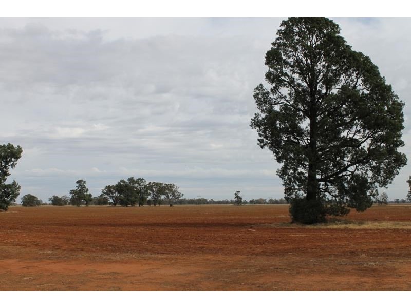 ‘Tereweenah’ Mitchell Highway, Trangie NSW 2823