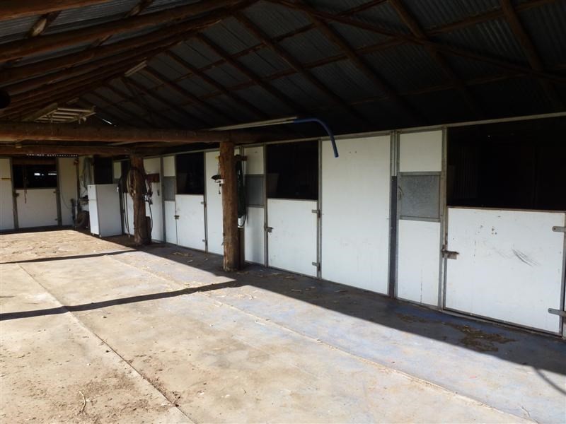 96R Mogriguy Road, Dubbo NSW 2830