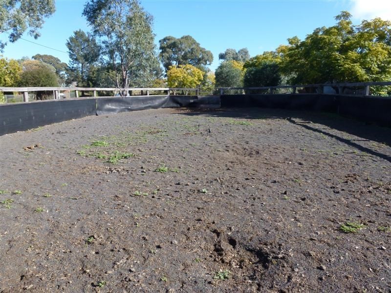 96R Mogriguy Road, Dubbo NSW 2830