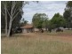 256 Craigie Lea Lane, Narromine NSW 2821