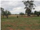 256 Craigie Lea Lane, Narromine NSW 2821