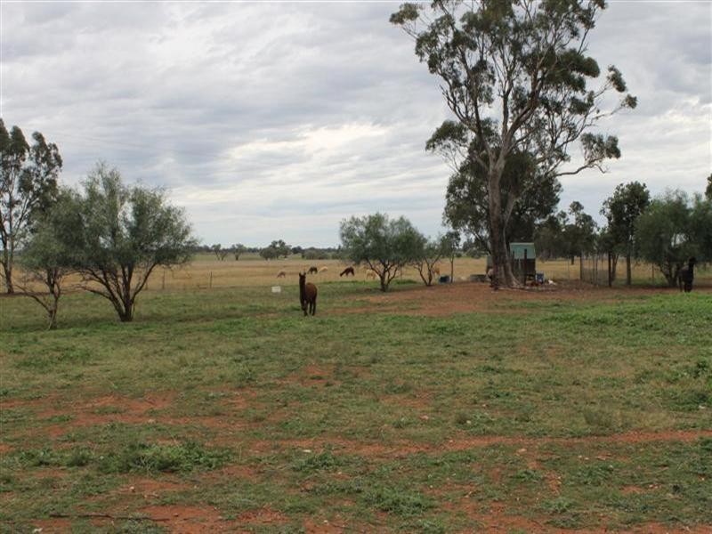 256 Craigie Lea Lane, Narromine NSW 2821