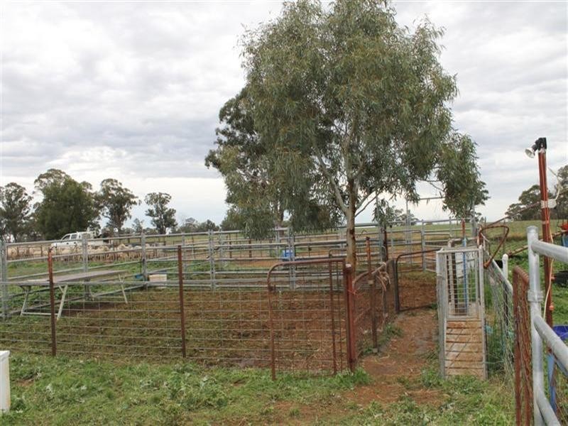 256 Craigie Lea Lane, Narromine NSW 2821
