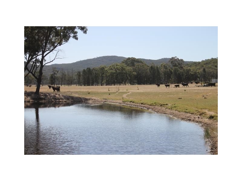 ‘Halcyon’ Renshaw McGirr Way, Yeoval NSW 2868