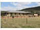 ‘Halcyon’ Renshaw McGirr Way, Yeoval NSW 2868