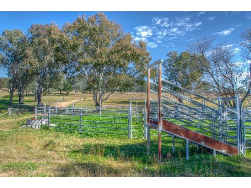 ‘Halcyon’ Renshaw McGirr Way, Yeoval NSW 2868