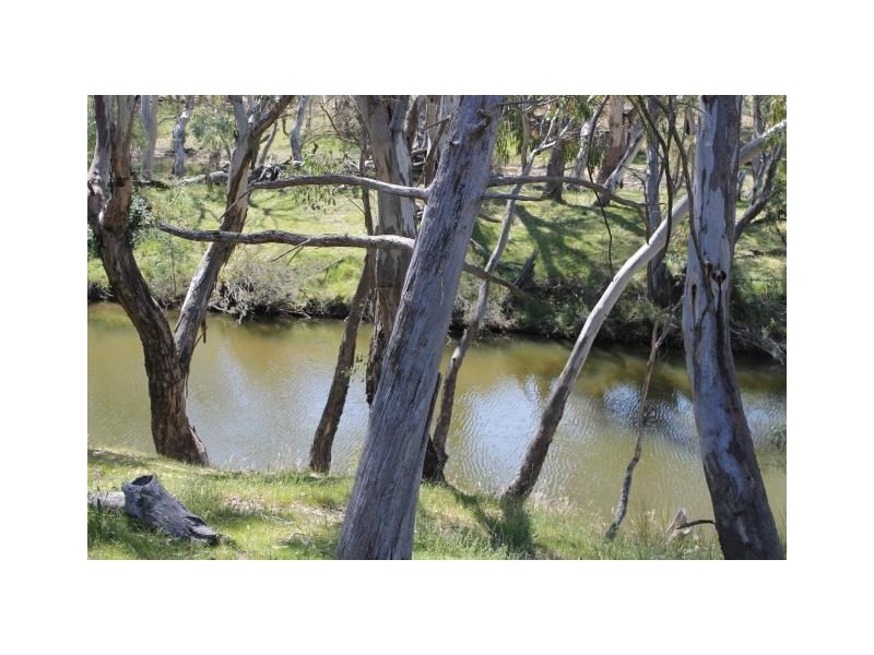 ‘Halcyon’ Renshaw McGirr Way, Yeoval NSW 2868