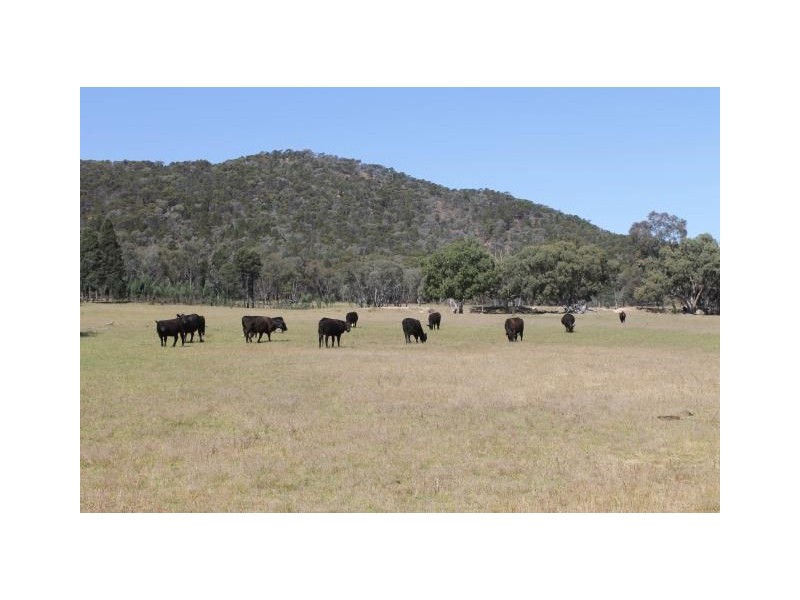 ‘Halcyon’ Renshaw McGirr Way, Yeoval NSW 2868
