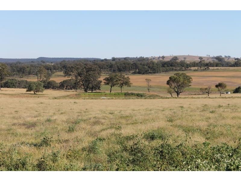 ‘Kensington’ Moorefield Road, Dunedoo NSW 2844