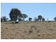 ‘Kensington’ Moorefield Road, Dunedoo NSW 2844
