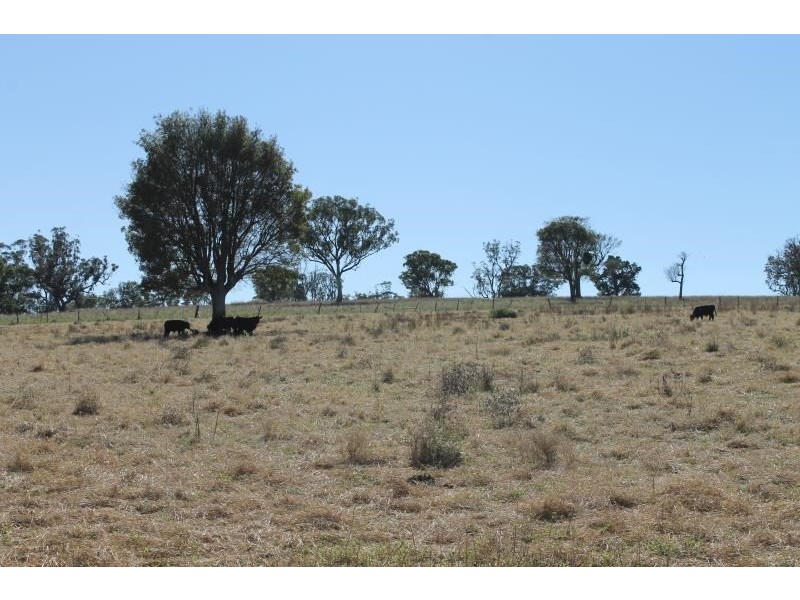 ‘Kensington’ Moorefield Road, Dunedoo NSW 2844