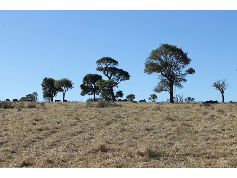 ‘Kensington’ Moorefield Road, Dunedoo NSW 2844