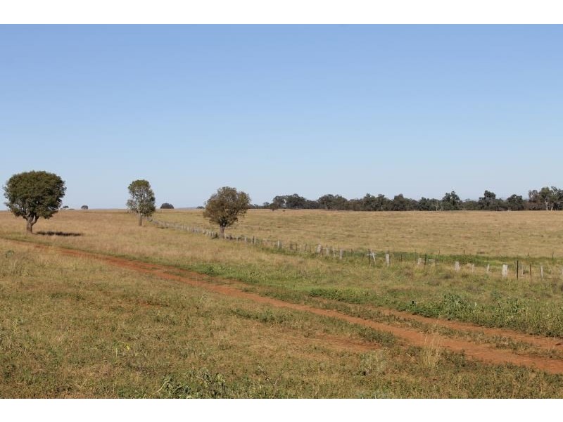 ‘Kensington’ Moorefield Road, Dunedoo NSW 2844