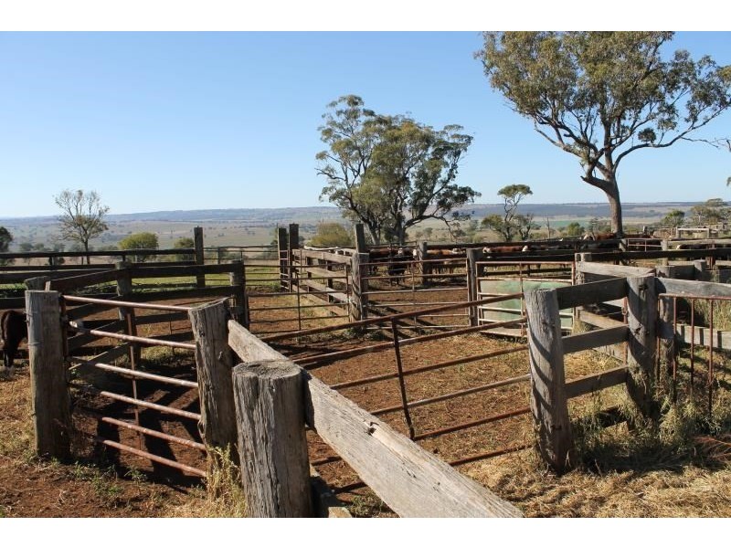 ‘Kensington’ Moorefield Road, Dunedoo NSW 2844