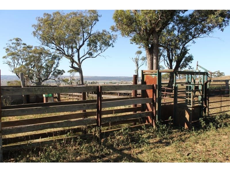 ‘Kensington’ Moorefield Road, Dunedoo NSW 2844