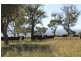 ‘Kensington’ Moorefield Road, Dunedoo NSW 2844