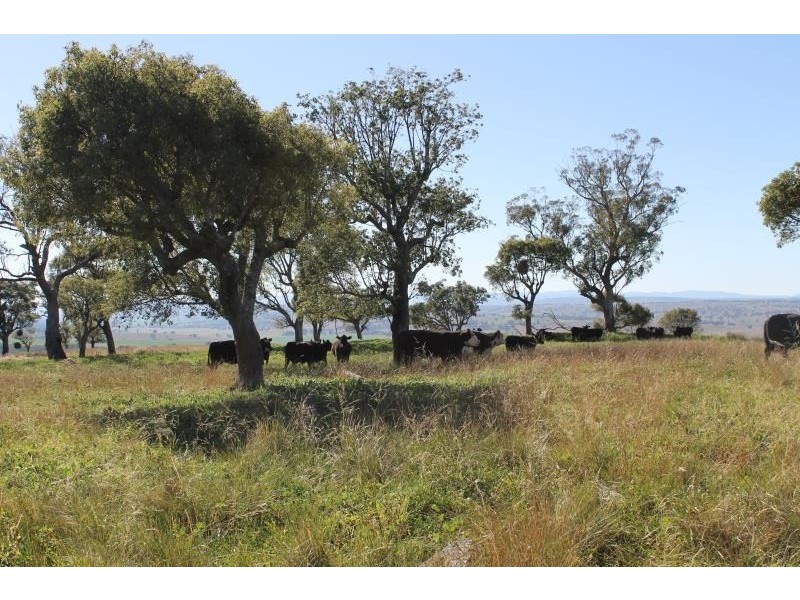 ‘Kensington’ Moorefield Road, Dunedoo NSW 2844