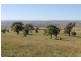 ‘Kensington’ Moorefield Road, Dunedoo NSW 2844