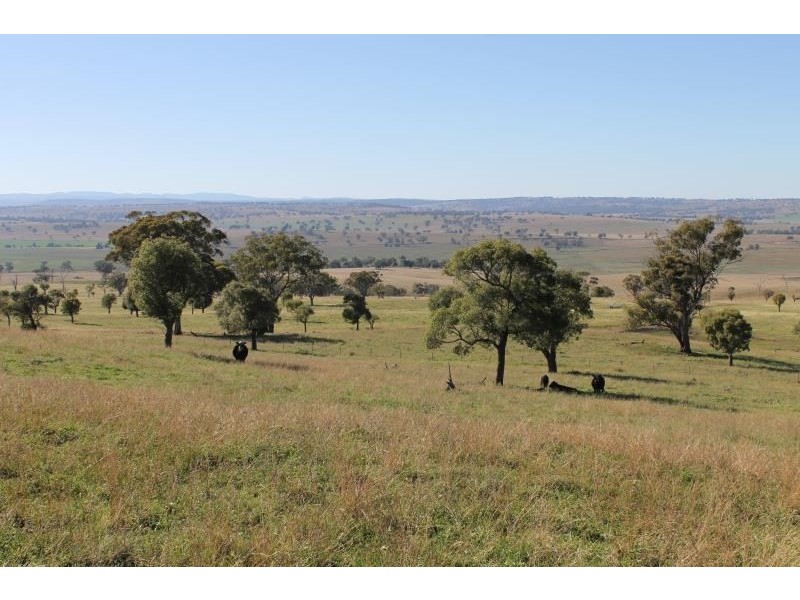 ‘Kensington’ Moorefield Road, Dunedoo NSW 2844