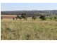 ‘Kensington’ Moorefield Road, Dunedoo NSW 2844