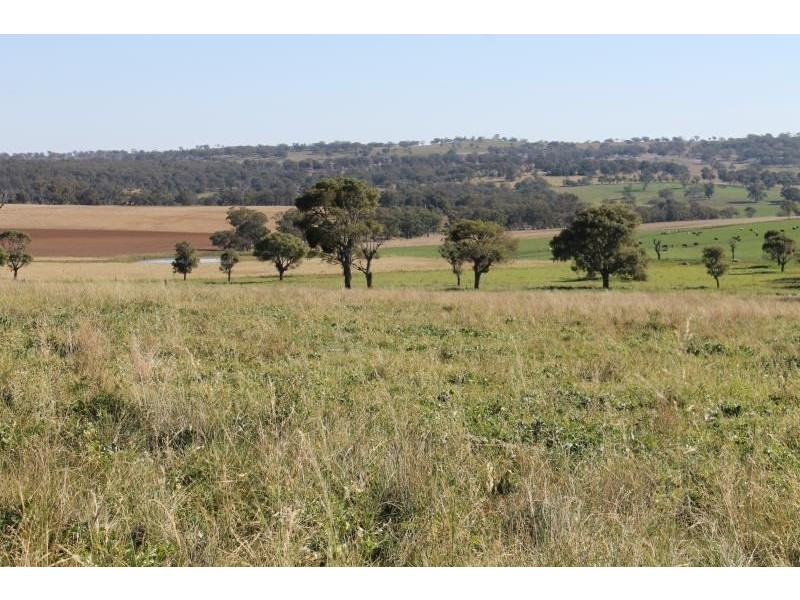 ‘Kensington’ Moorefield Road, Dunedoo NSW 2844