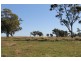 ‘Kensington’ Moorefield Road, Dunedoo NSW 2844