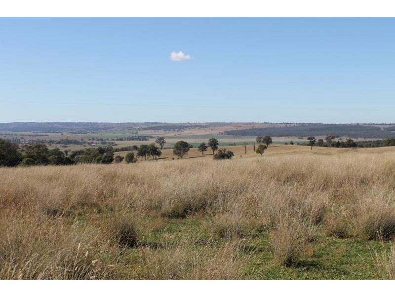 ‘Kensington’ Moorefield Road, Dunedoo NSW 2844