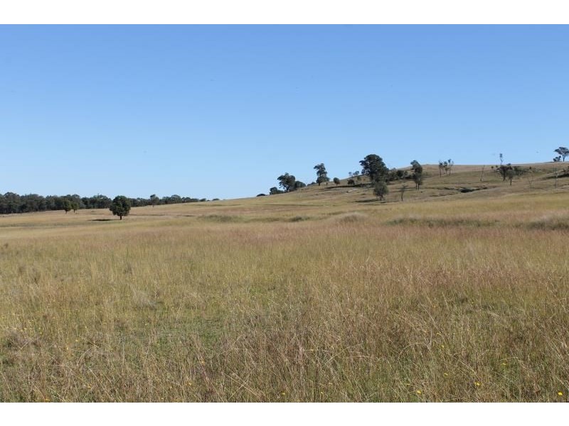 ‘Kensington’ Moorefield Road, Dunedoo NSW 2844