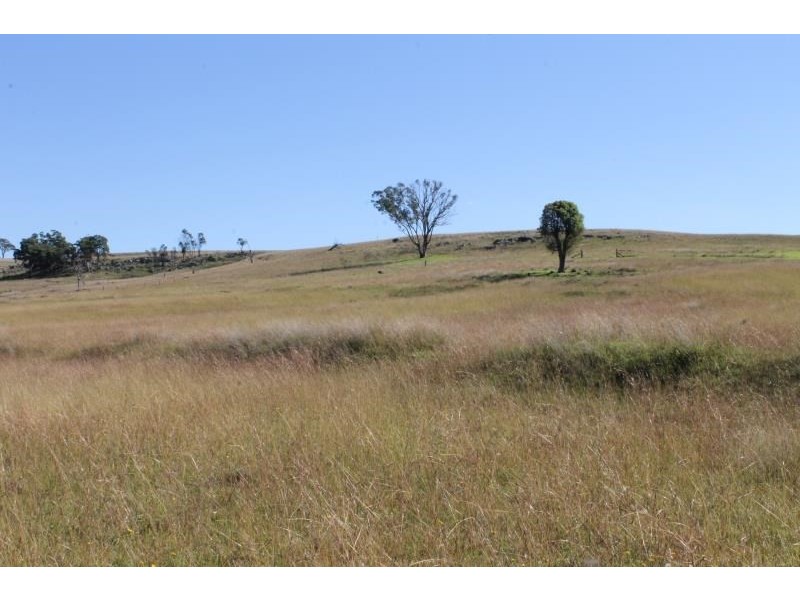 ‘Kensington’ Moorefield Road, Dunedoo NSW 2844