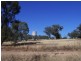 Lot 147 Heatherbrae Road, Geurie NSW 2831