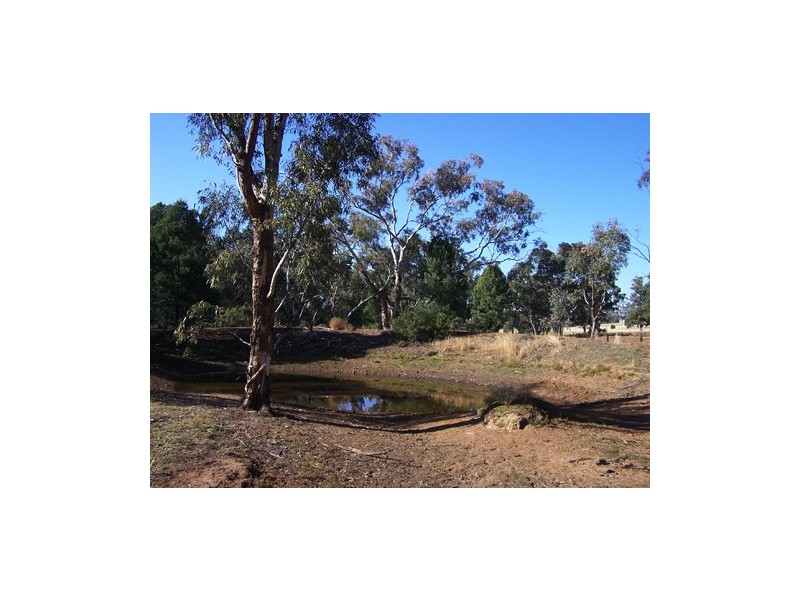 Lot 147 Heatherbrae Road, Geurie NSW 2831