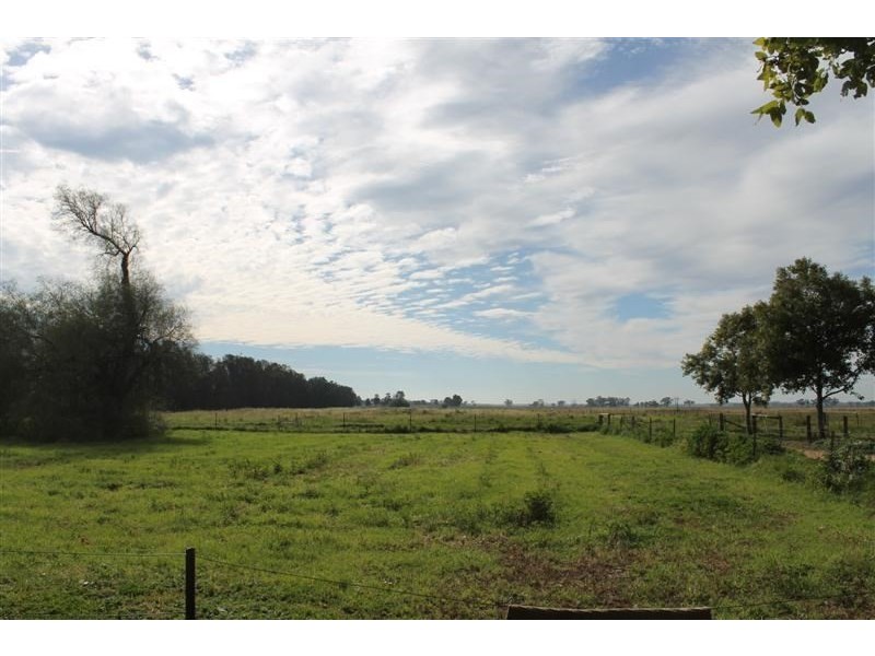 ‘Lime Grove’ 4606 Mitchell Highway, Narromine NSW 2821