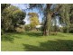 ‘Lime Grove’ 4606 Mitchell Highway, Narromine NSW 2821