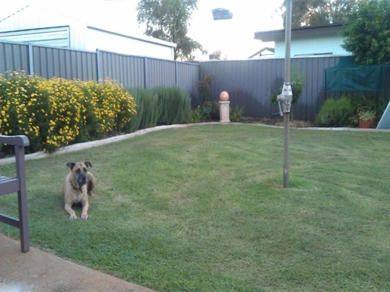 1 Moonah Street, Dubbo NSW 2830