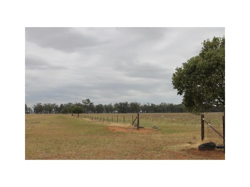 “Old Paddy’s” Tomingley West Road, Tomingley NSW 2869