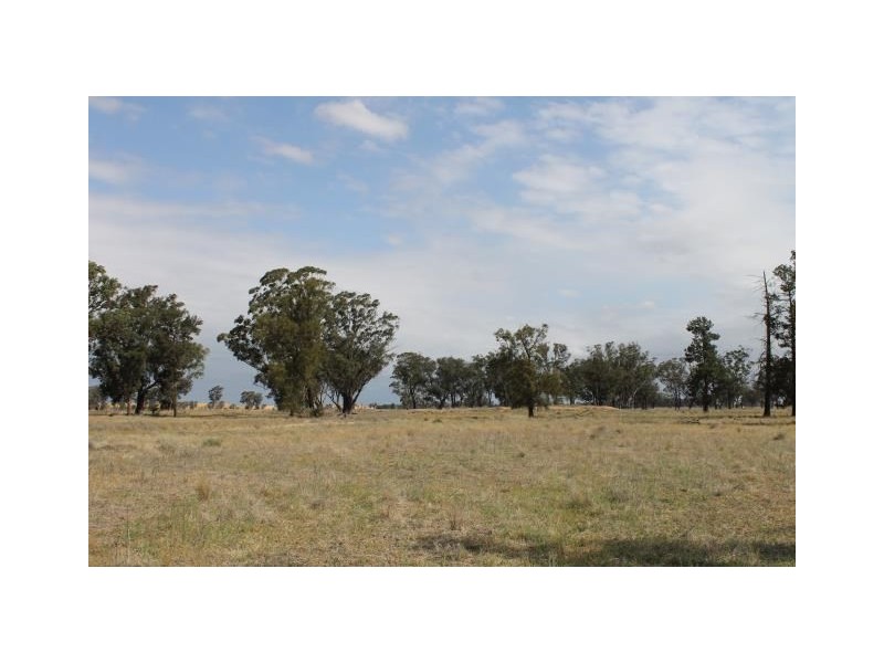 “Old Paddy’s” Tomingley West Road, Tomingley NSW 2869