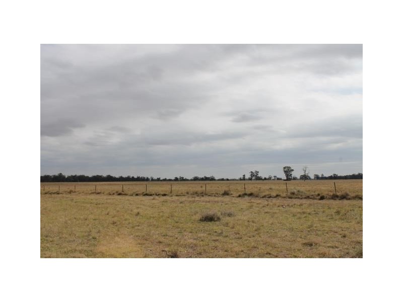 “Old Paddy’s” Tomingley West Road, Tomingley NSW 2869