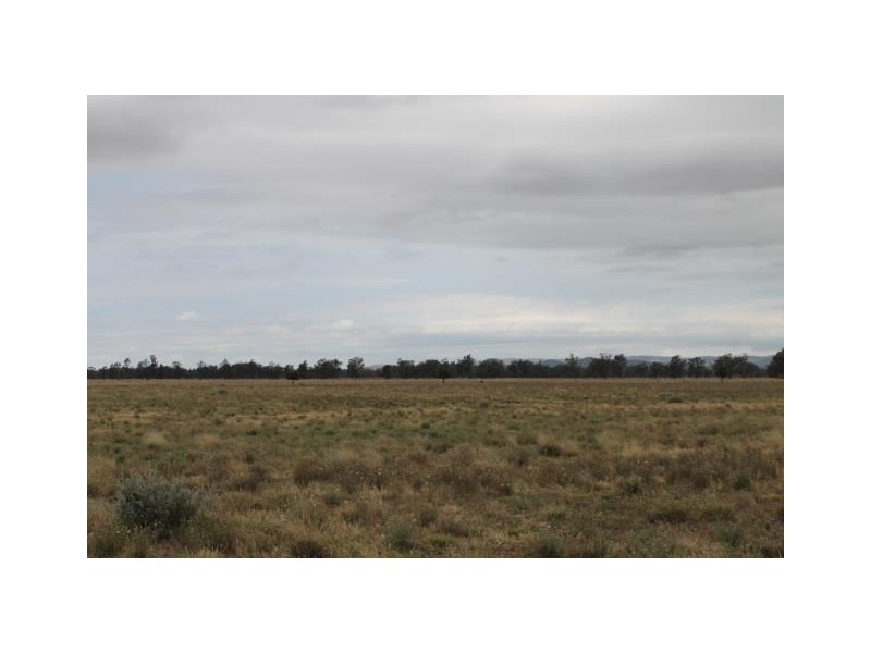 “Old Paddy’s” Tomingley West Road, Tomingley NSW 2869