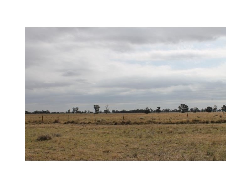 “Old Paddy’s” Tomingley West Road, Tomingley NSW 2869