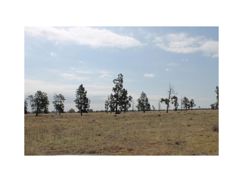 “Old Paddy’s” Tomingley West Road, Tomingley NSW 2869